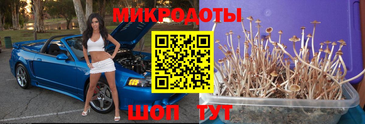 Галлюциногенные грибы GOLDEN TEACHER Сосновый Бор